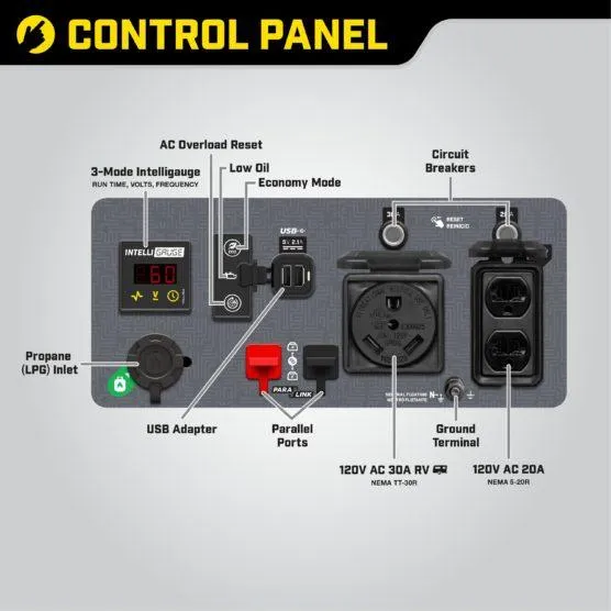 Champion 200977 3500W/4250W Generator Dual Fuel Inverter Open Frame New