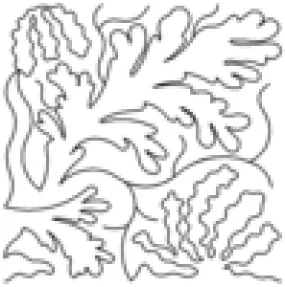 Kelp - Designed by Vickie Malaski