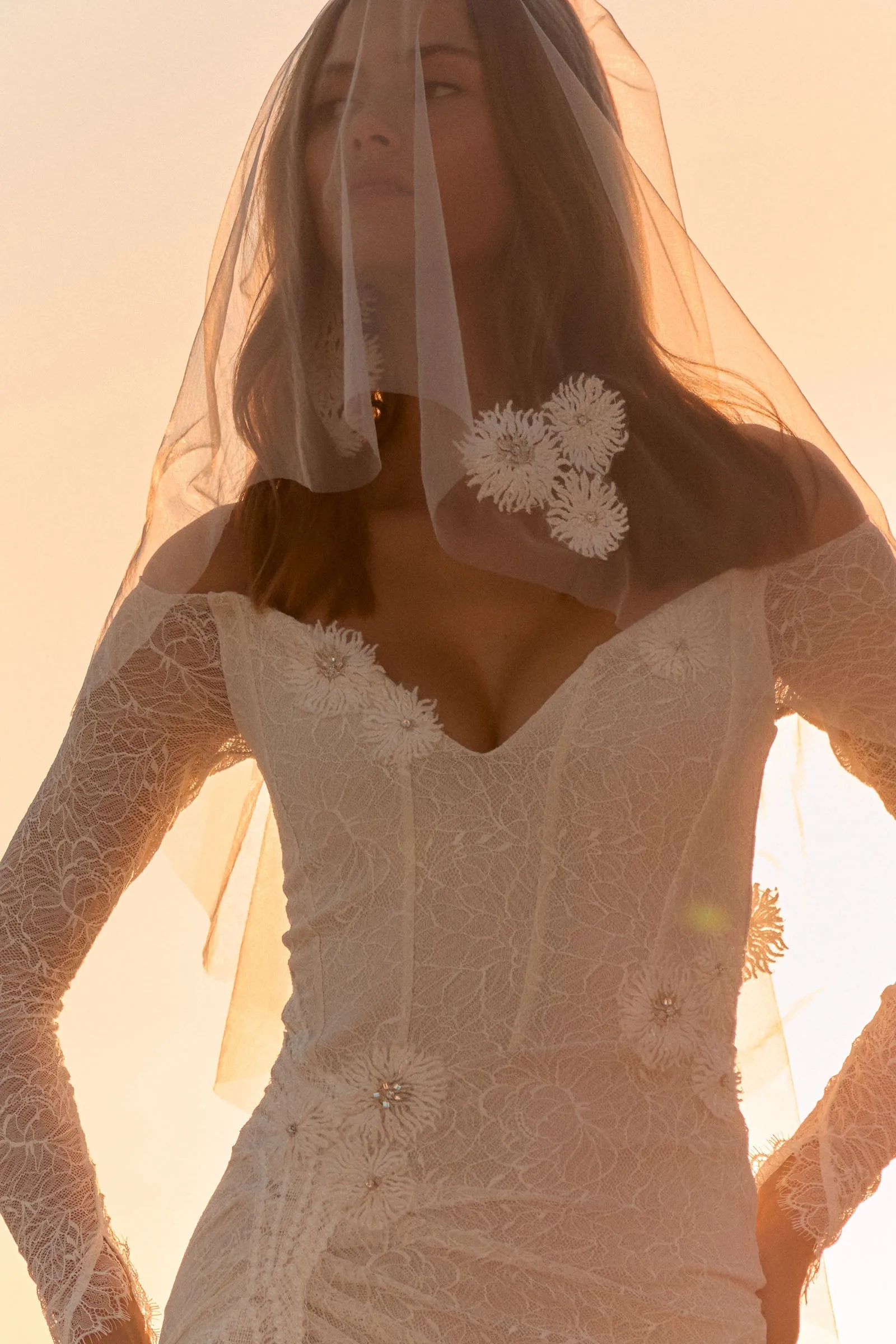 Rosie Veil